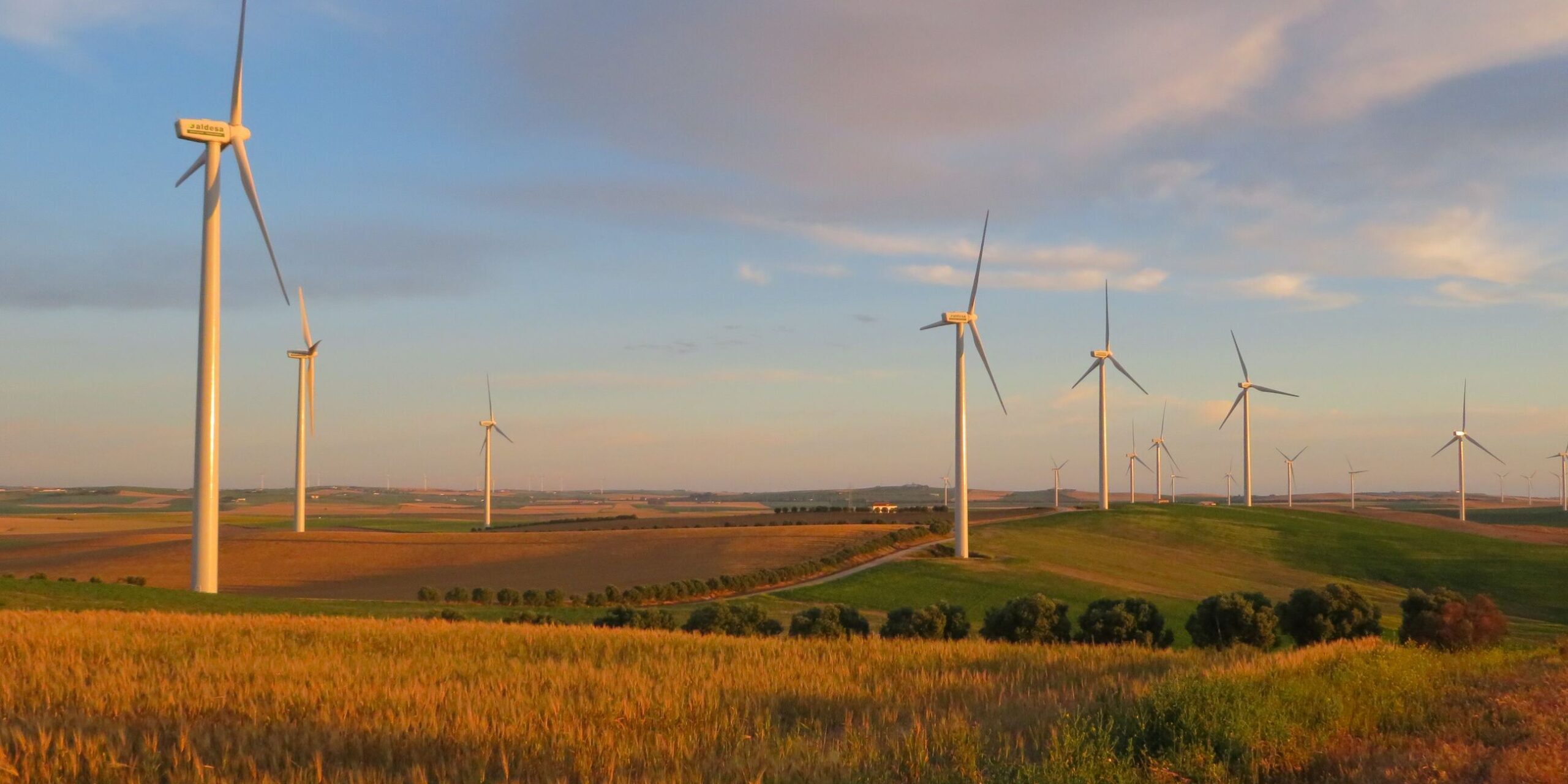 ana-del-pino-aiQV1GIZXAw-unsplash_50